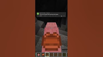 Day 73: Building a Minecraft House One Block a Day