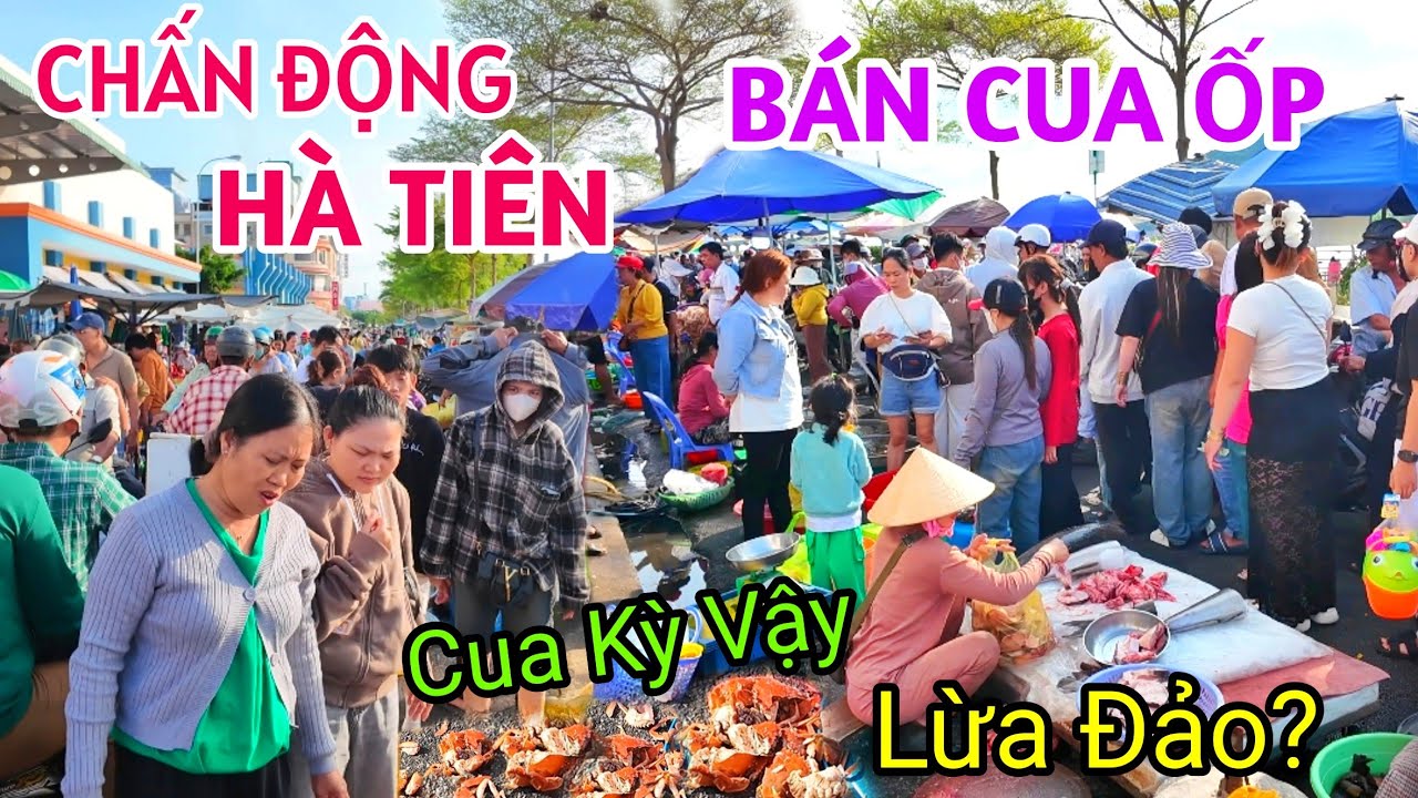 BẤT NGỜ GẶP CẢNH LỪA ĐẢO BÁN CUA BIỂN TẠI CHỢ HẢI SẢN HÀ TIÊN