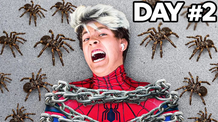 I Survived 50 Hours as Spider-Man - Challenge