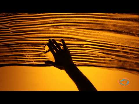 ნაცარქექია STUDIO N