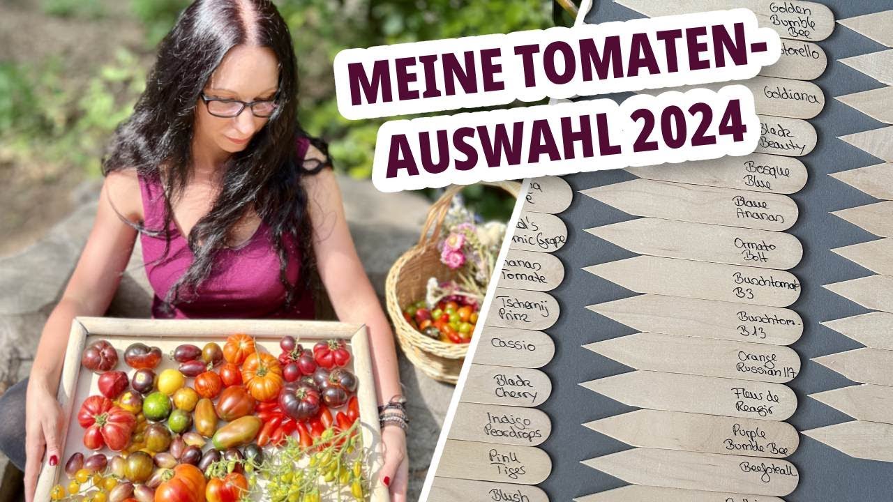 Welche Tomaten kommen dieses Jahr in meinen Garten? - Meine Tomatenauswahl 2024