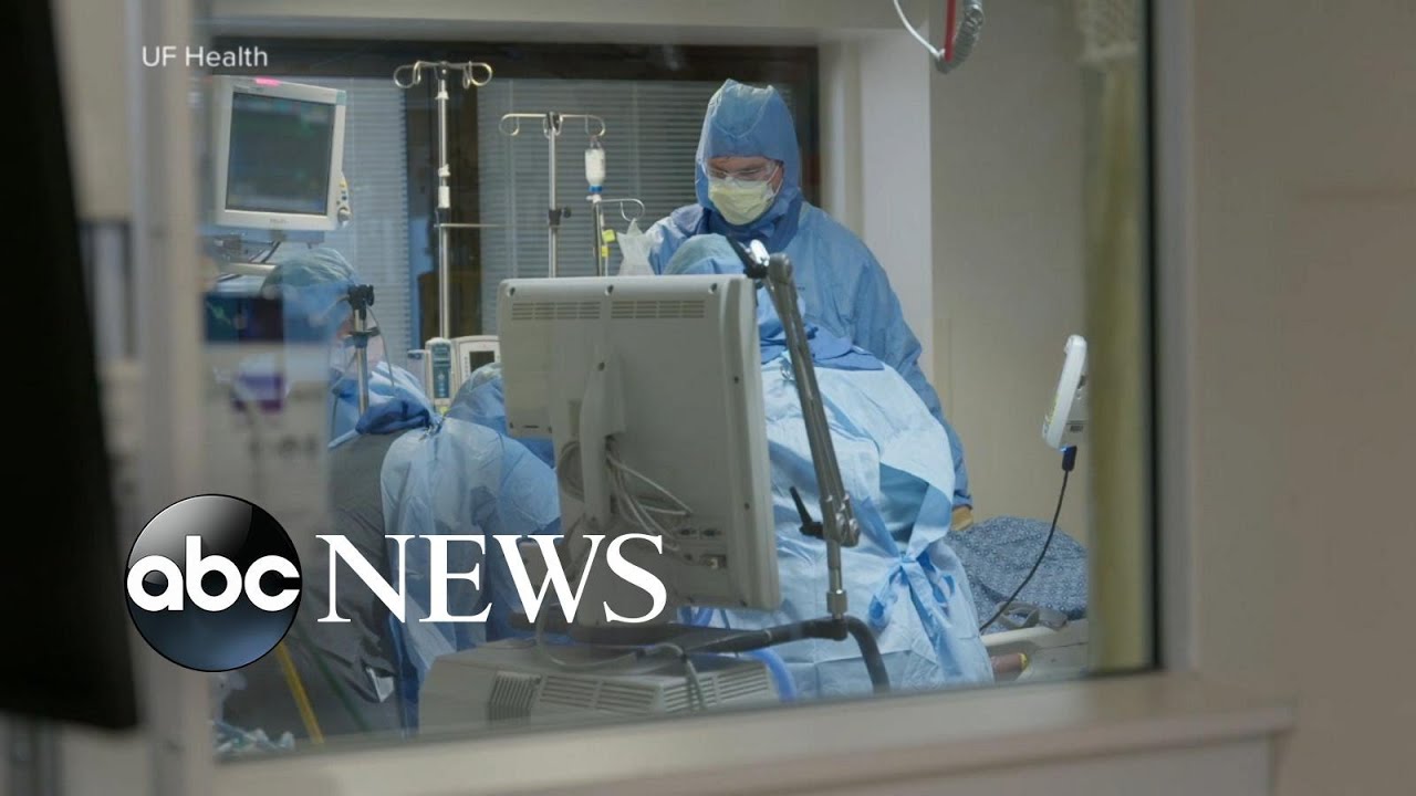 Florida COVID-19 cases and deaths hit record highs | ABC News
