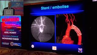 ESS 2019 Thursday-Plenary 2