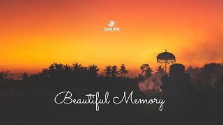 Taoufik & Merone music - Beautiful Memory  Resimi