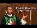 Evangelio del Domingo XVII (Homilía del 28 de julio de 2019)