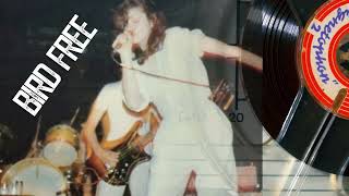 Madonna & Breakfast Club - Bird Free (Gilroy Tapes Excerpt) (2024 auction sample)