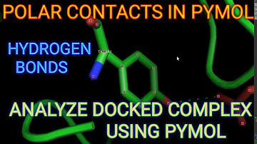 Polar contact in pymol ll Docking ll Xgene and proteinX