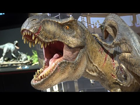 Prime 1 Studio Jurassic Park Collection Tour! (2019)