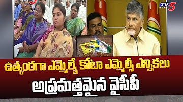 అప్రమత్తమైన వైసీపీ MLA Quota MLC Elections | TDP vs YCP | TV5 News Digital