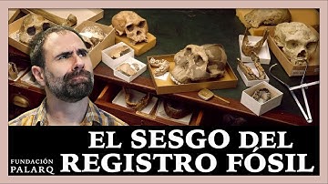 What Is Lost in the Fossil Record? The Story That Wasn