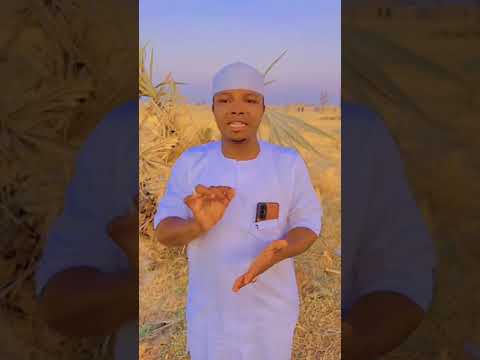 Sirri Halifan Fada Jibia Viralreelschallenge Comedyfilms Alinu