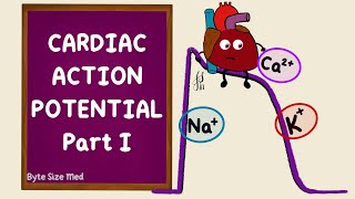 Ventricular Action Potential | Cardiac Action Potential | Part 1 | Phases | Cardiac Physiology