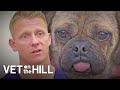 Vet Helps Rescue Dog Breathe After Being Saved From A Pup Farm | Full Episodes | Vet On The Hill