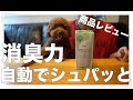 【商品レビュー】消臭力自動でシュパッとを買ってかわいい愛犬とともに使ってみた【トイプードル】