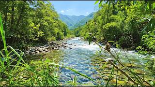 CRYSTAL CLEAR RIVER FLOW LIVE – NATURE’S ASMR AMBIENCE FOR RELAX, STUDY & INNER PEACE