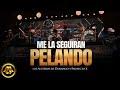 Los austeros de durango proyecto x  me la seguiran pelando oficial