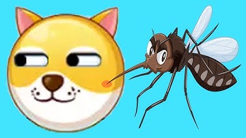 Save the Doge - Gameplay Walkthrough - All Levels (IOS, Android)