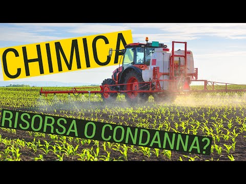 Video: Perché l'agricoltura di sussistenza è ancora praticata in India?