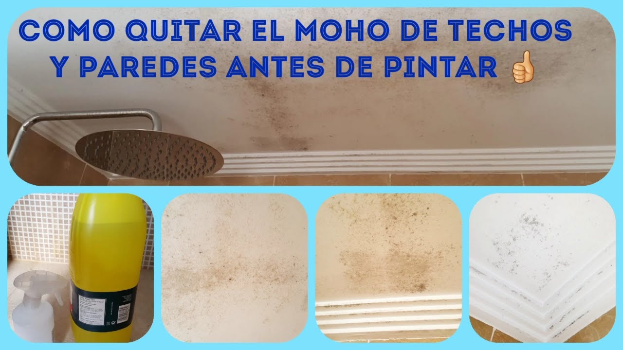 como quitar las manchas de moho de techos y paredes antes de pintar. 