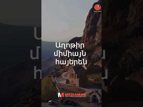 Video: Ի՞նչ է մերձարևադարձային անտառը: