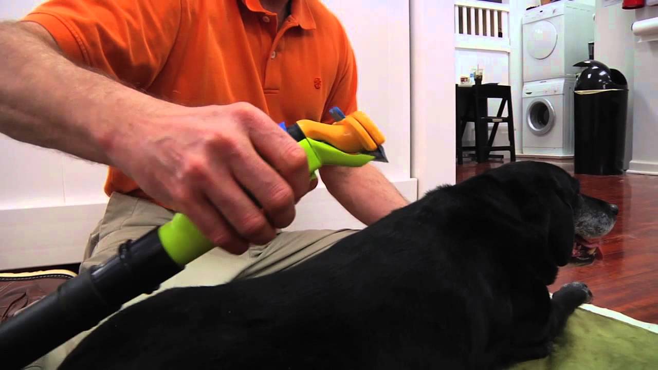 dog shedding tools vacuum