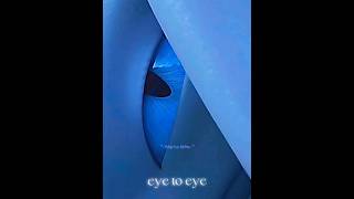 𝓛𝓲𝓰𝓱𝓽 𝓕𝓾𝓻𝔂 𝓮𝓭𝓲𝓽