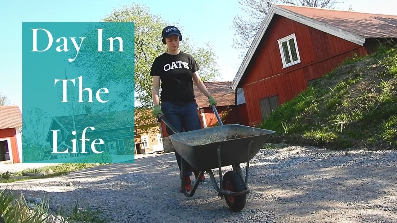Day In The Life As A Vegan Farmer // painting, building, cleaning YouTube