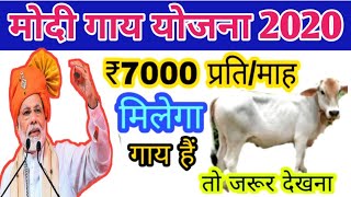 pm modi yojna 2020| modi Sarkar yojna| pm modi govt new scheme 2020| jandhan yojna| modi cow yojna