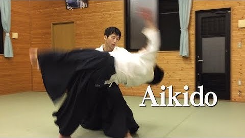 合気道 柔らかで美しい自由技 Beautiful Aikido - Jiyu Waza