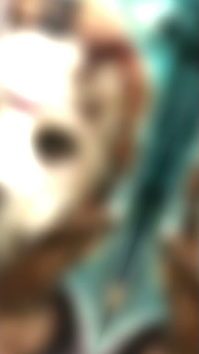 jedag jedug psikopat jason🙏😱😱😱