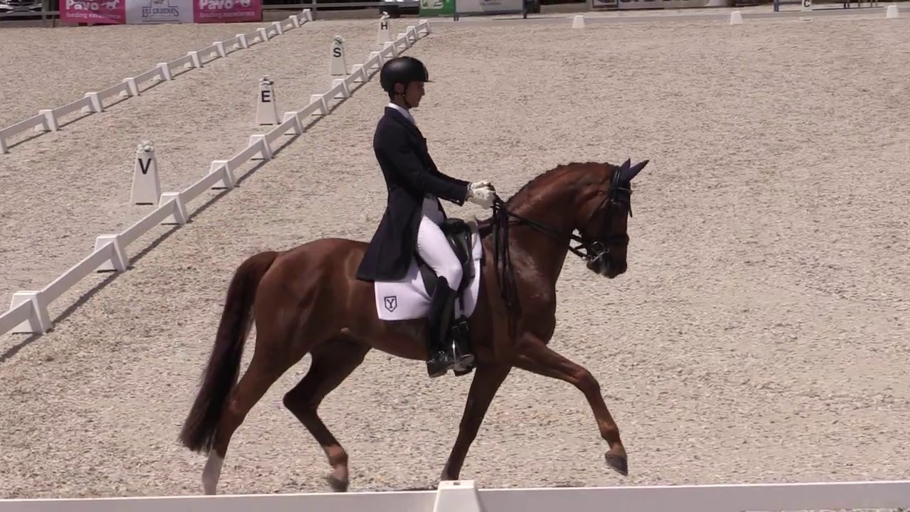 Juan Matute Guimón & Romantico Ymas. YR Prix St. George - 71.4%. Las Cadenas 2018