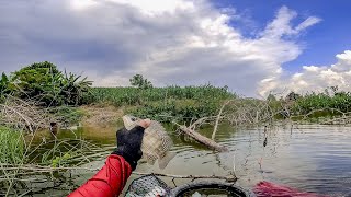 INILAH TEKNIK SAYA‼️ KETIKA MANCING DI AIR SEDANG NAIK TINGGI | mancing nila waduk sangiran ngawi 