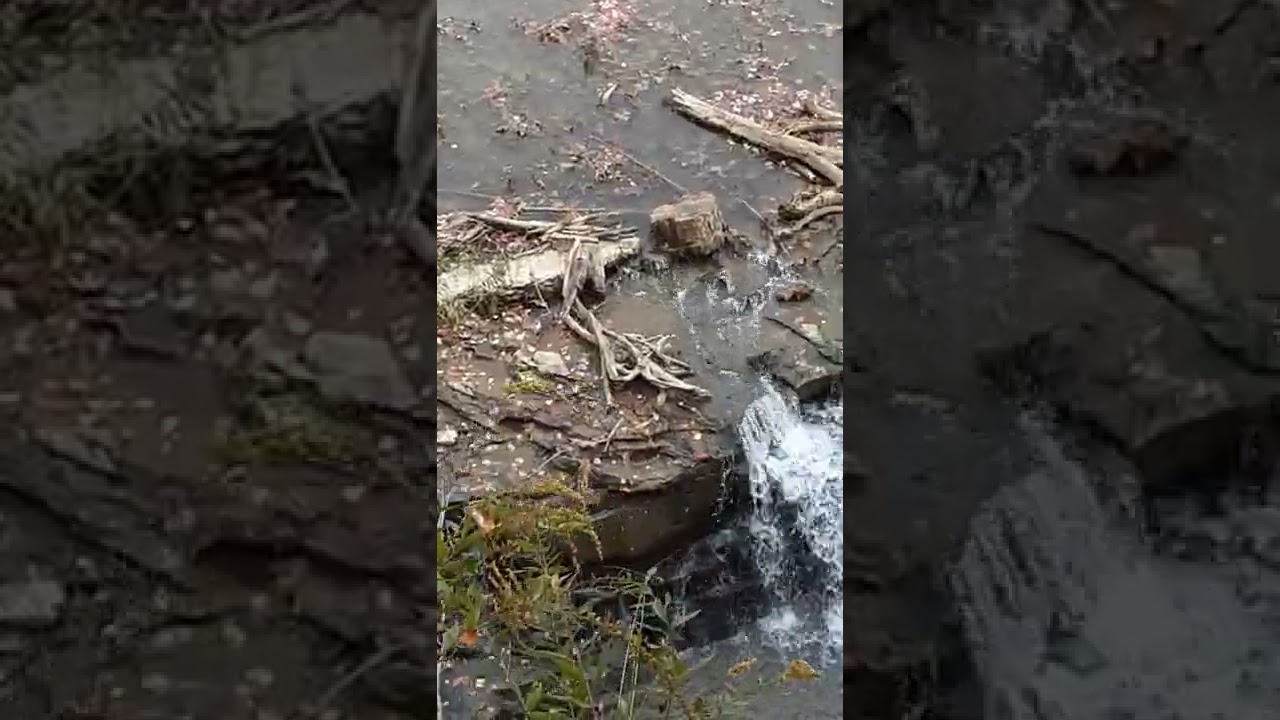 Wild, Wonderful West Virginia: White Park Reservoir in October, 2022.