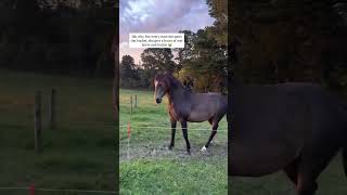 Ninas Hack Our Biggest Celebration Yet Read The Description Below