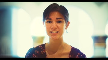 How College Counselors Work with You