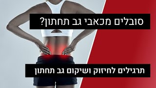 כאבי גב תחתון | חיזוק גב תחתון | תרגילים לחיזוק שרירי ליבה הקלה על כאבי גב תחתון | עמיר שפר