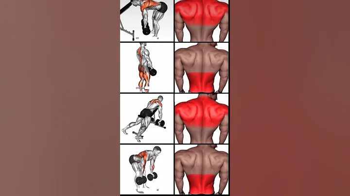 how to get back workout #backworkout #backday #fitness #workout #exercise #fyp #shorts #viral #gym