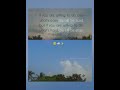 motivated quotes✨ #shorts  #motivationalvideo #quotesaboutlife