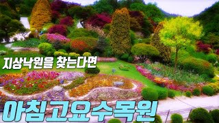 Morning Calm Arboretum. The best arboretum in Korea
