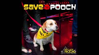 Save A Pooch  Episode 61 Understanding Rescue Dogs: Overcoming Triggers and Fostering Trust