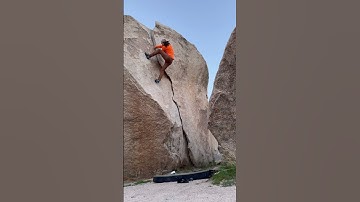 False Up 20 - Joshua Tree