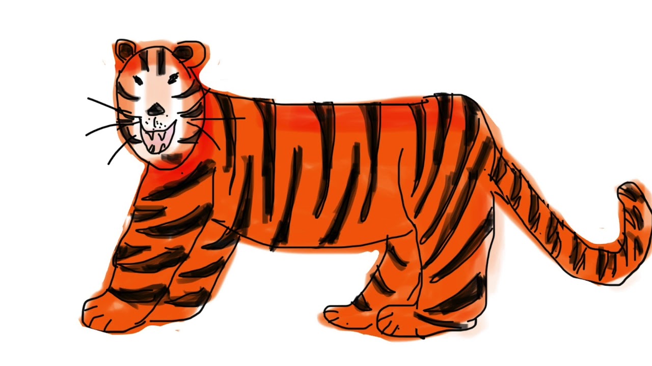 Where does this Tiger live? | Short stories for children. - YouTube