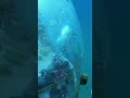 Underwater Greenhouses: The Future of Farming in Nemo’s Garden