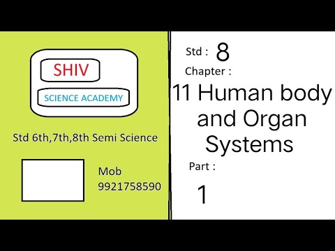 class 8 semi science chapter 11 Human body and Organ Systems Part 1 by ...