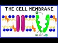 Cell Membrane Structure, Function, and The Fluid Mosaic Model