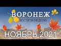 Новости Воронежа за ноябрь 2021