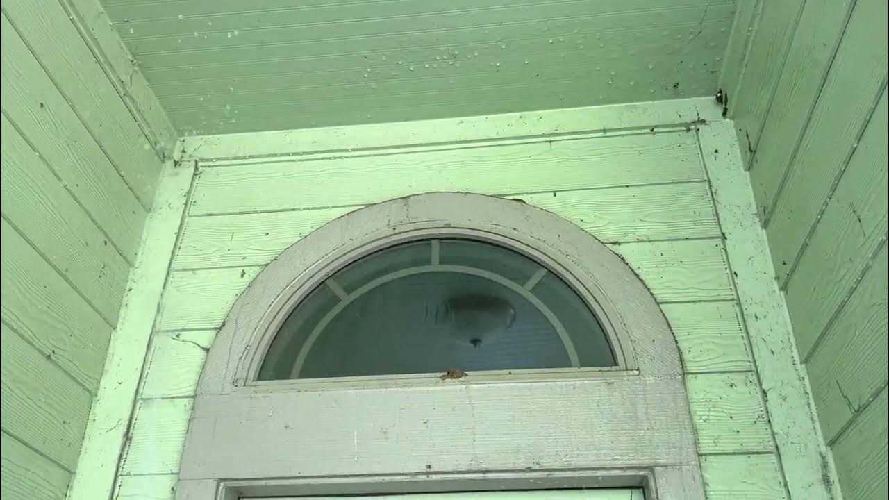 My First Soft Wash on House Siding YouTube