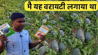 Best Commercial Watermelon Seed & Variety in India // Personal Experience & Review