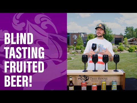 Shandy Showdown - Pro Brewer Picks a Favorite!