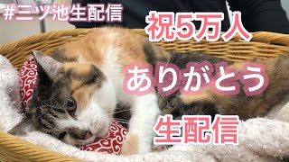 ☆祝５万人突破☆ありがとうライブ配信～獣医師が動物の質問に出来るだけ応えます～